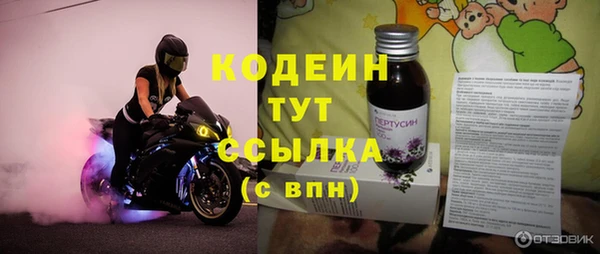 прущие грибы Михайлов