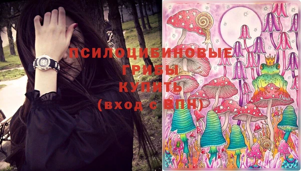 стафф Абинск