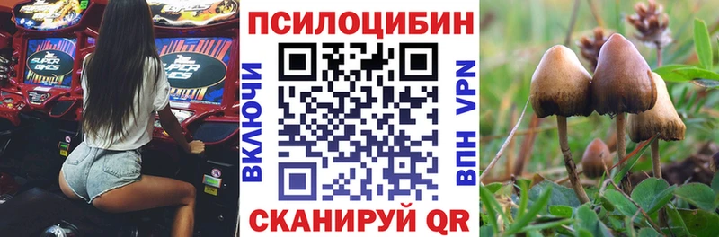 ОМГ ОМГ ТОР  Таганрог  Галлюциногенные грибы прущие грибы 